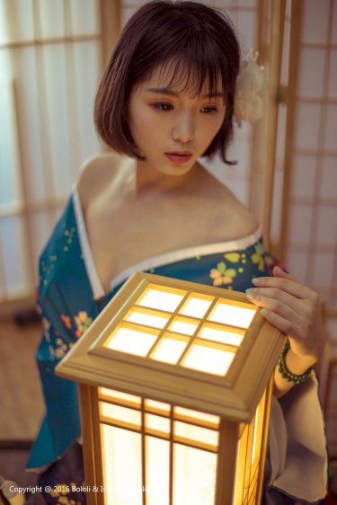 海豚湾纪录片